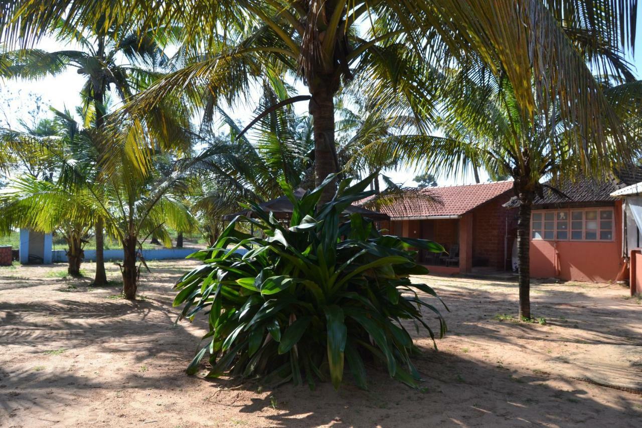 O Camarao Hotel Calangute Luaran gambar